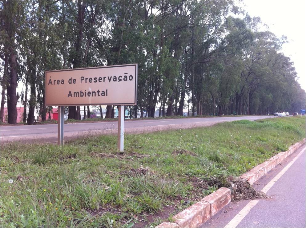 jaca_01